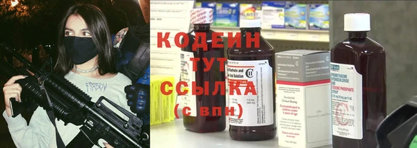 индика Вязники