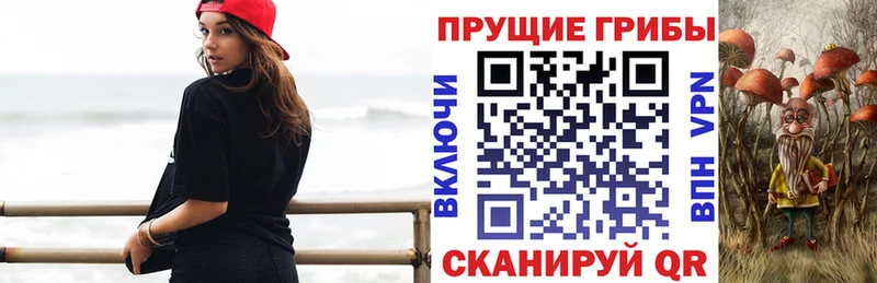 Галлюциногенные грибы Psilocybine cubensis  Кыштым 
