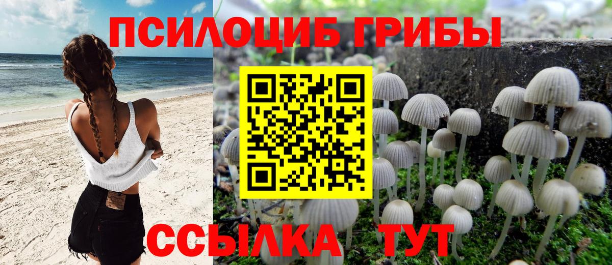 Кыштым  Псилоцибиновые грибы ЛСД  Вход с VPN  закладка  Галлюциногенные грибы GOLDEN TEACHER 