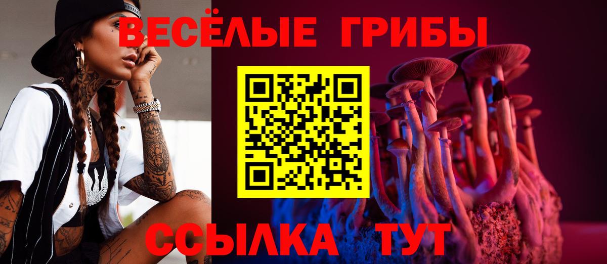 Псилоцибиновые грибы мухоморы Кыштым